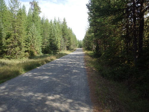 GDMBR: Southbound on NF-9991 (abeam Condon, MT).